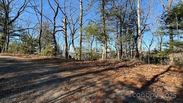 0 Bird Dog Boulevard Property Photo 2