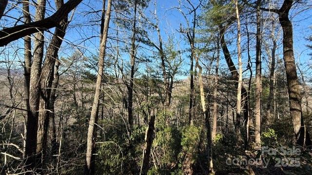 0 Bird Dog Boulevard Property Photo 3