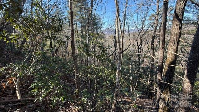 0 Bird Dog Boulevard Property Photo 4