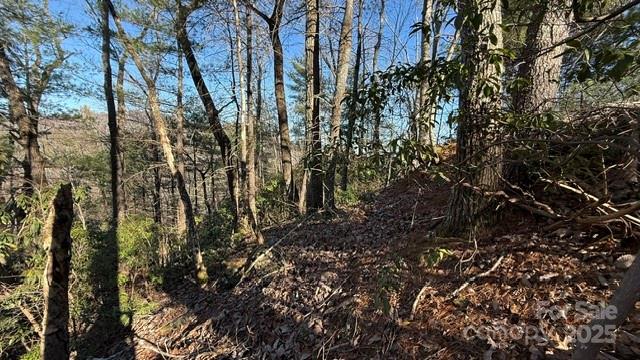 0 Bird Dog Boulevard Property Photo 5