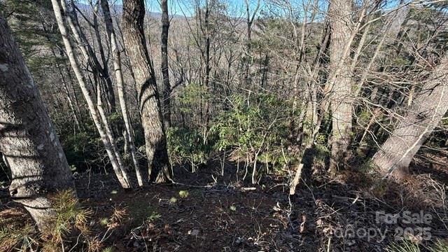 0 Bird Dog Boulevard Property Photo 6