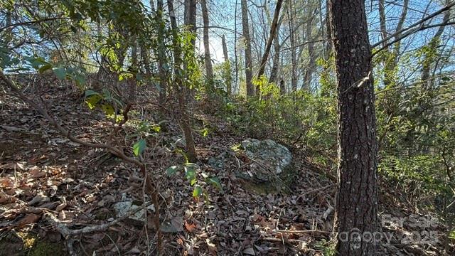 0 Bird Dog Boulevard Property Photo 7