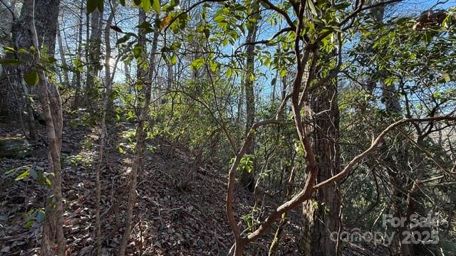0 Bird Dog Boulevard Property Photo 8
