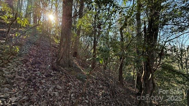 0 Bird Dog Boulevard Property Photo 9