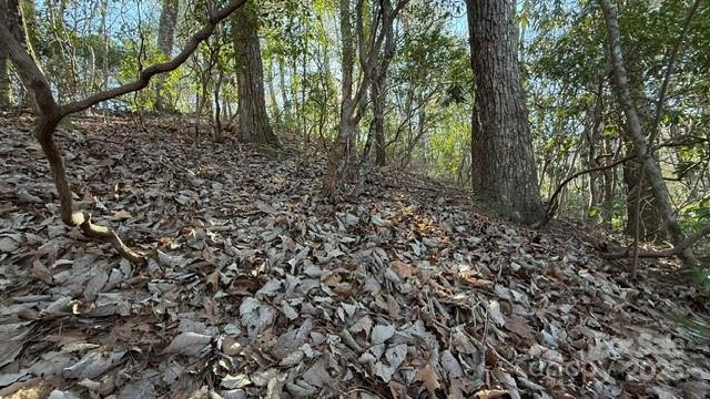 0 Bird Dog Boulevard Property Photo 10