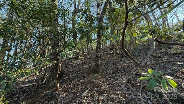 0 Bird Dog Boulevard Property Photo 11