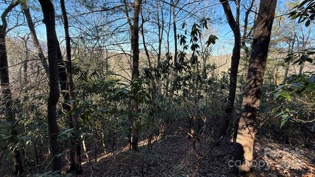 0 Bird Dog Boulevard Property Photo 12