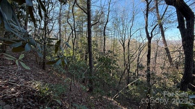 0 Bird Dog Boulevard Property Photo 13