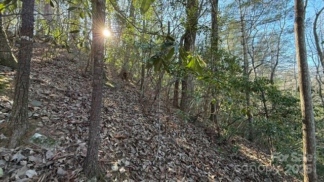 0 Bird Dog Boulevard Property Photo 14