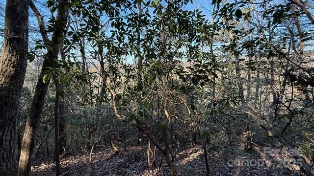 0 Bird Dog Boulevard Property Photo 15