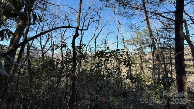 0 Bird Dog Boulevard Property Photo 16