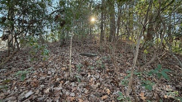 0 Bird Dog Boulevard Property Photo 17