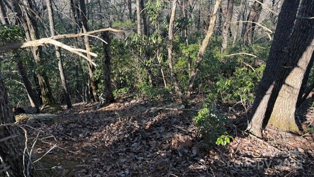 0 Bird Dog Boulevard Property Photo 18