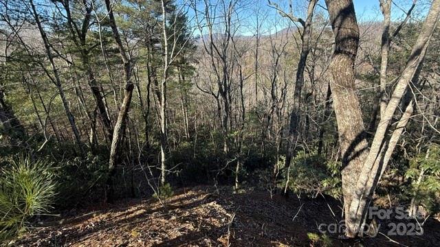 0 Bird Dog Boulevard Property Photo 19