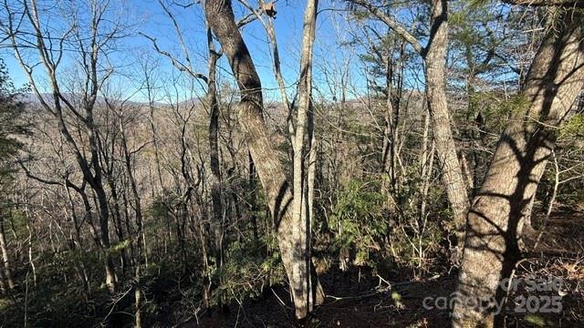 0 Bird Dog Boulevard Property Photo 20