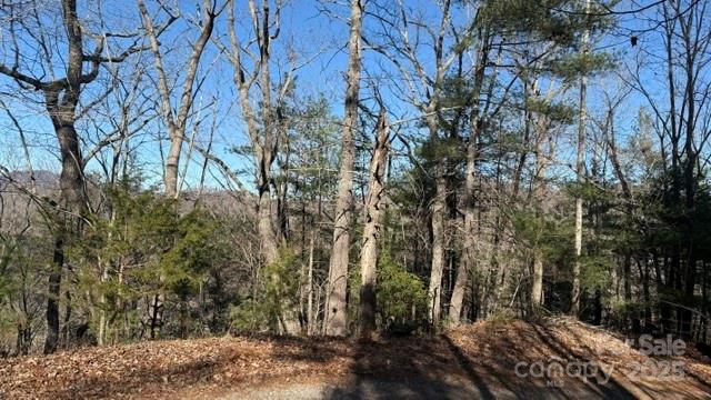 0 Bird Dog Boulevard Property Photo 21