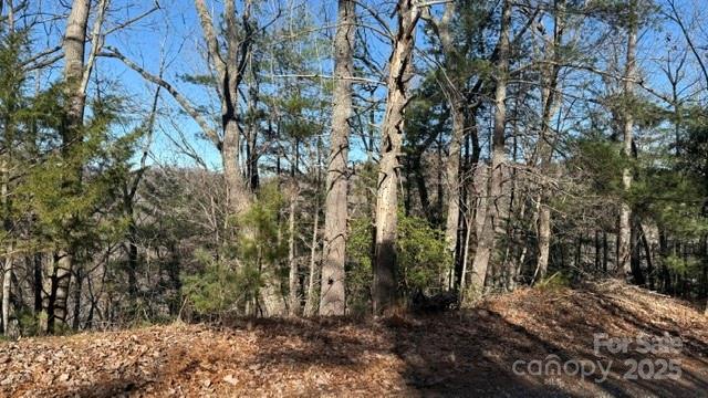 0 Bird Dog Boulevard Property Photo 22