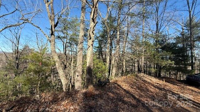 0 Bird Dog Boulevard Property Photo 23