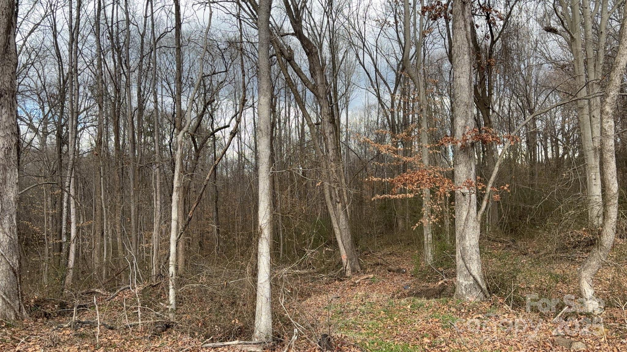 000 Mahogany Road Pt17 Property Photo 1