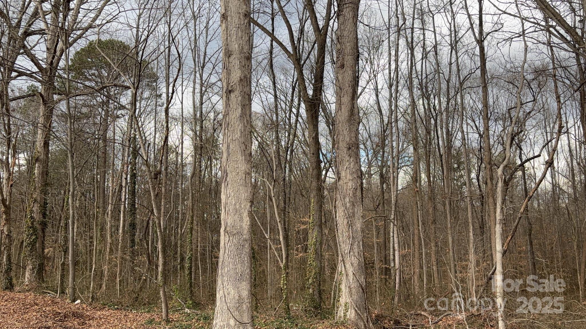 000 Mahogany Road Pt17 Property Photo 2