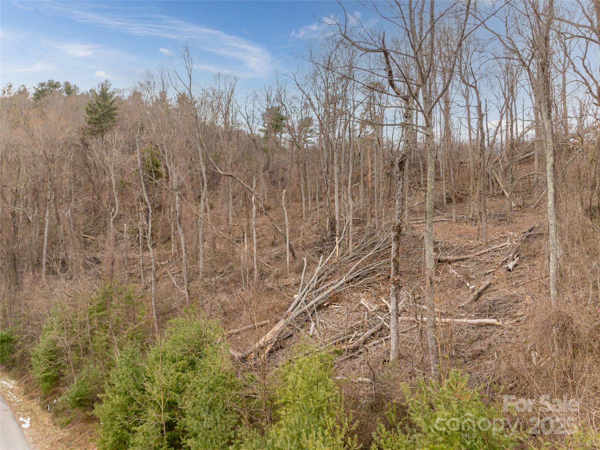 74 Longspur Lane Property Photo 6
