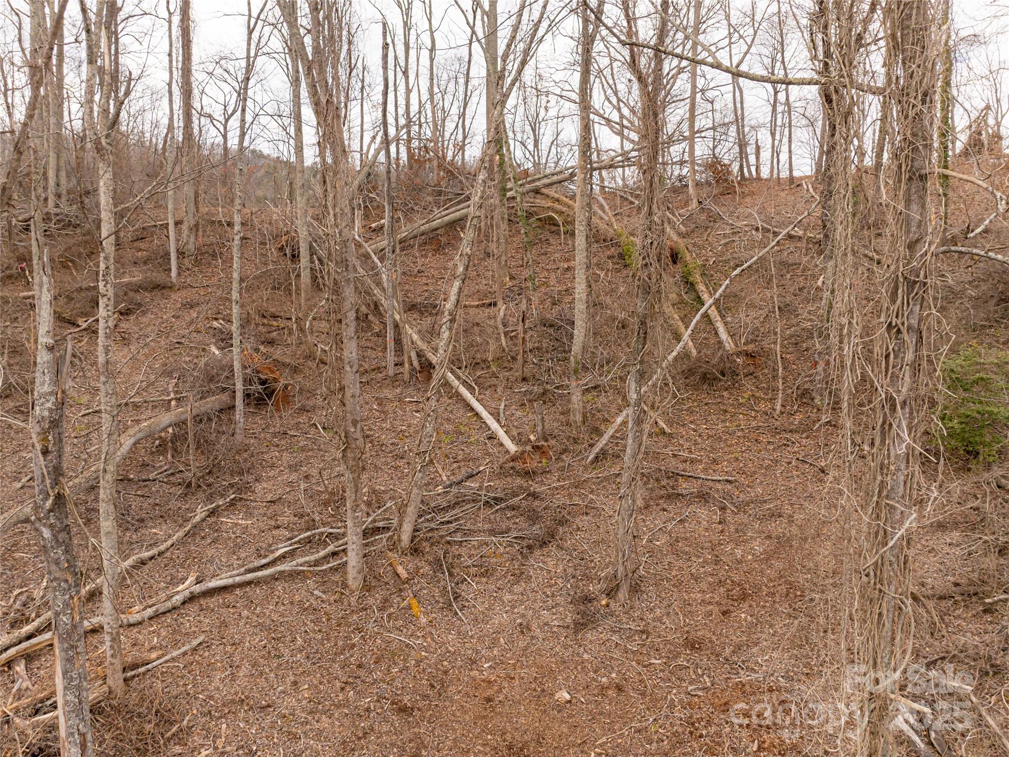 74 Longspur Lane Property Photo 8