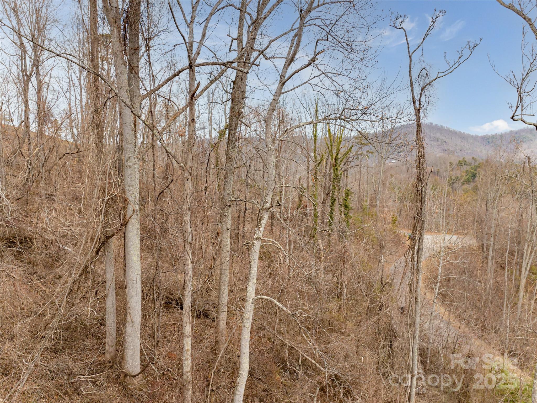 74 Longspur Lane Property Photo 14