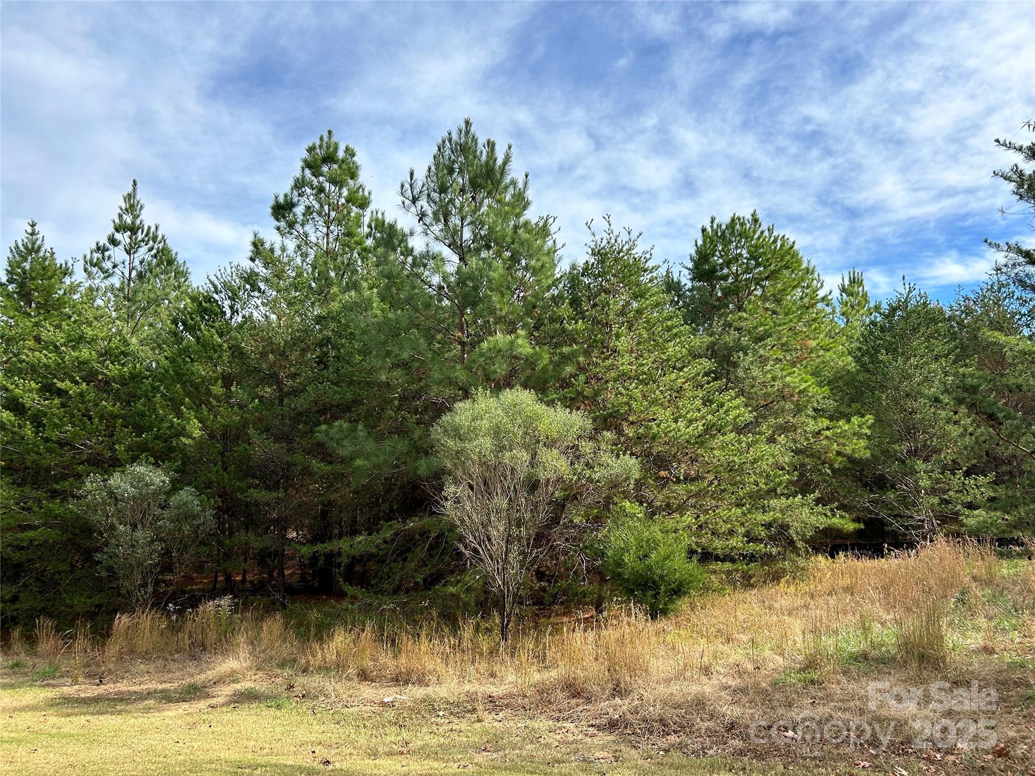 14108 Rhone Valley Drive Property Photo 6