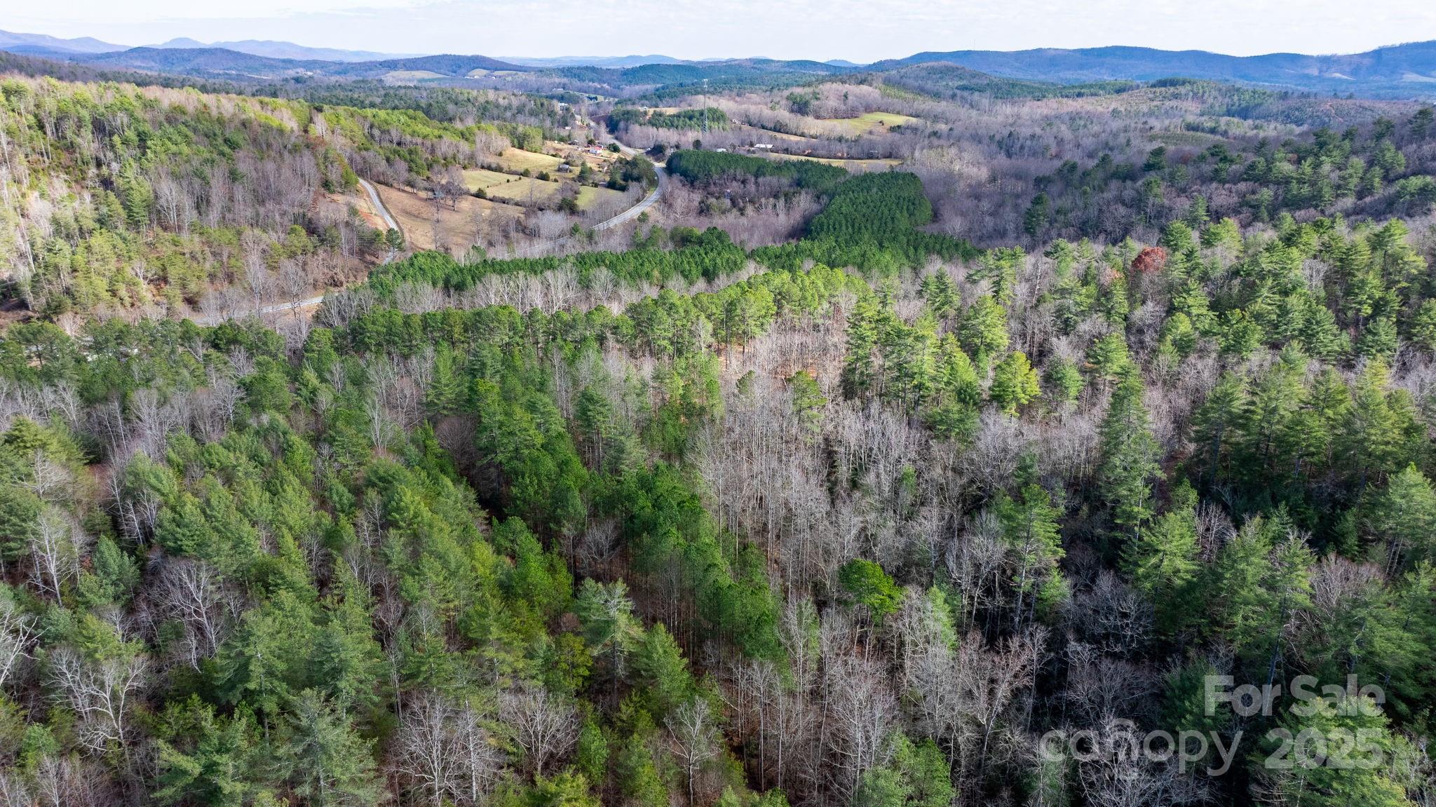2910 Taylorsville Road Property Photo 23