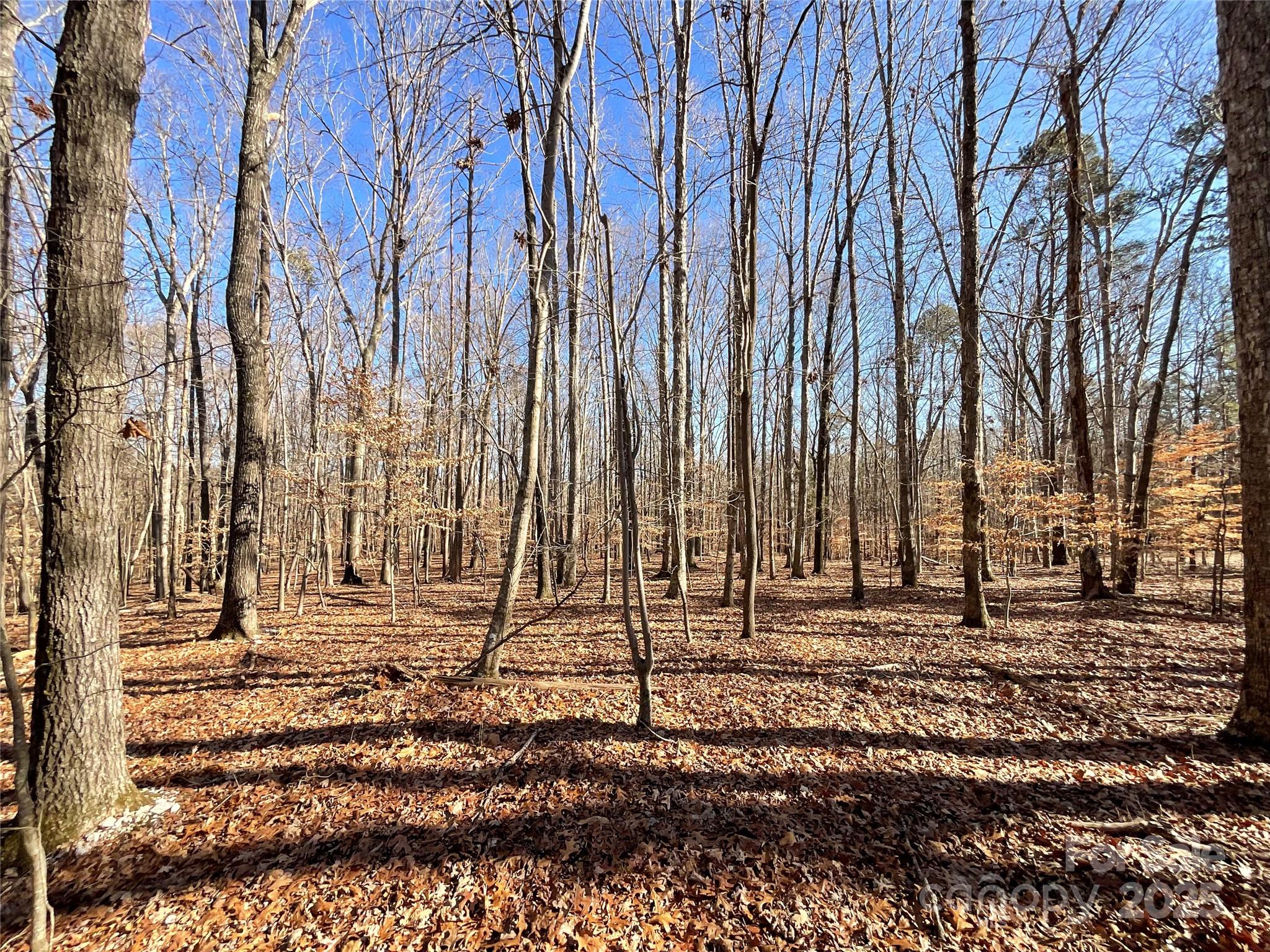 3009 Forest Lawn Drive Property Photo 4