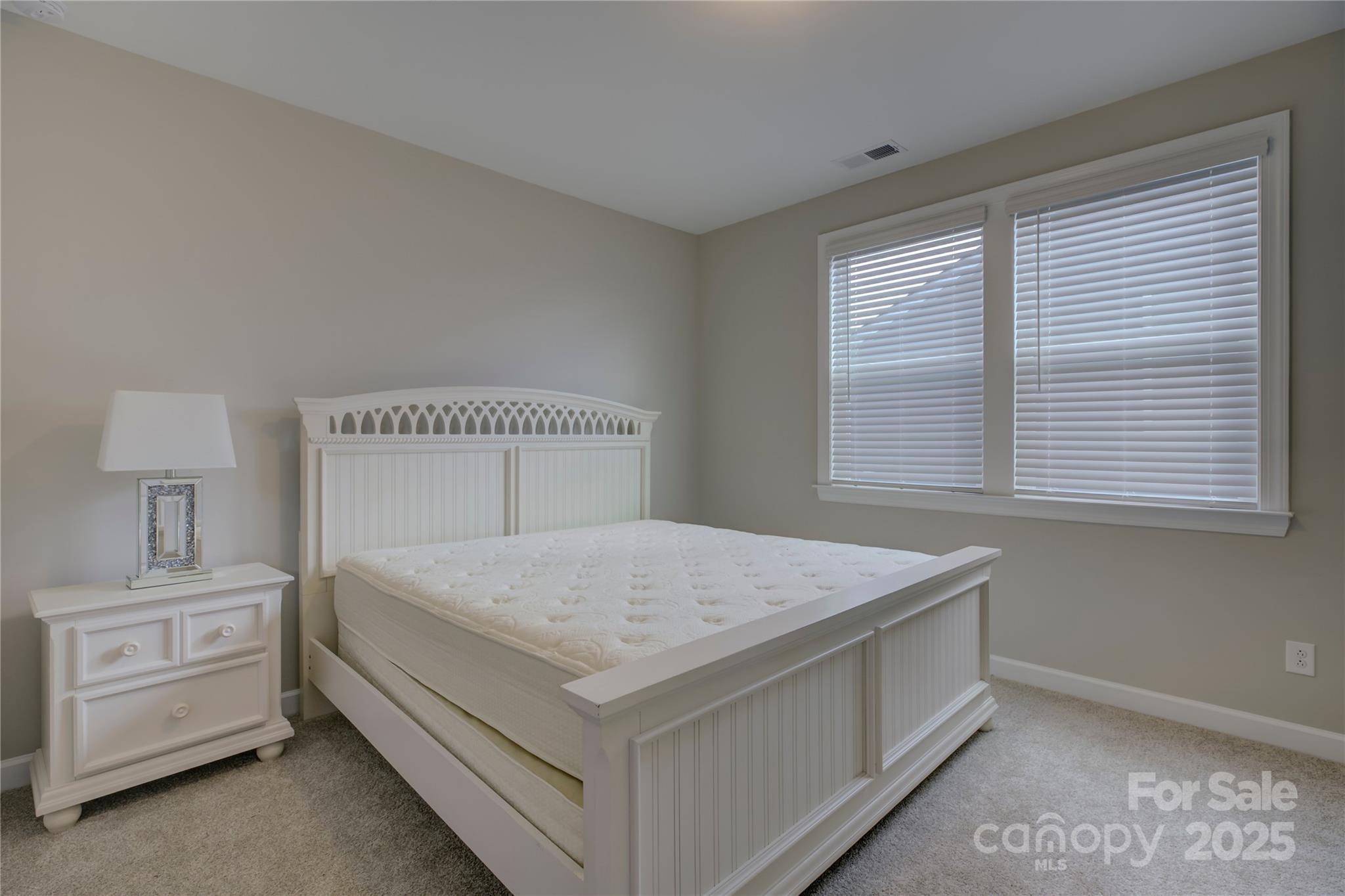 9515 Liberty Hill Drive Property Photo 44