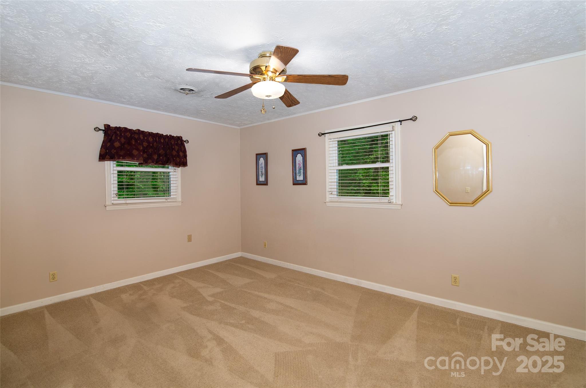 220 Frosty Ridge Road Property Photo 9