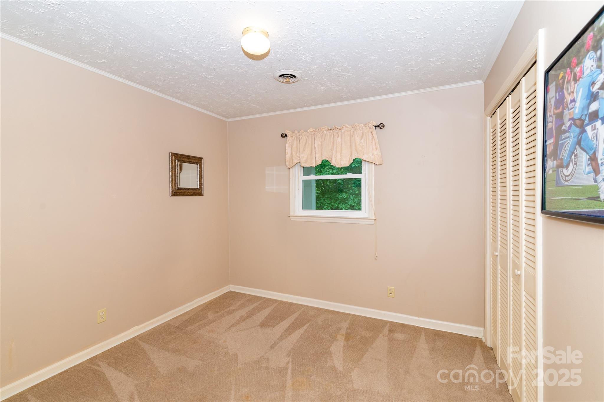 220 Frosty Ridge Road Property Photo 12