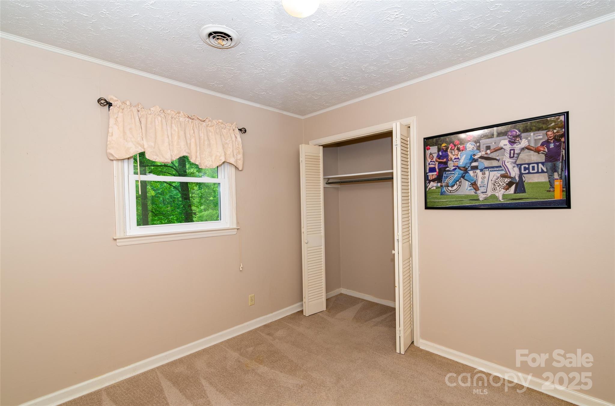 220 Frosty Ridge Road Property Photo 13