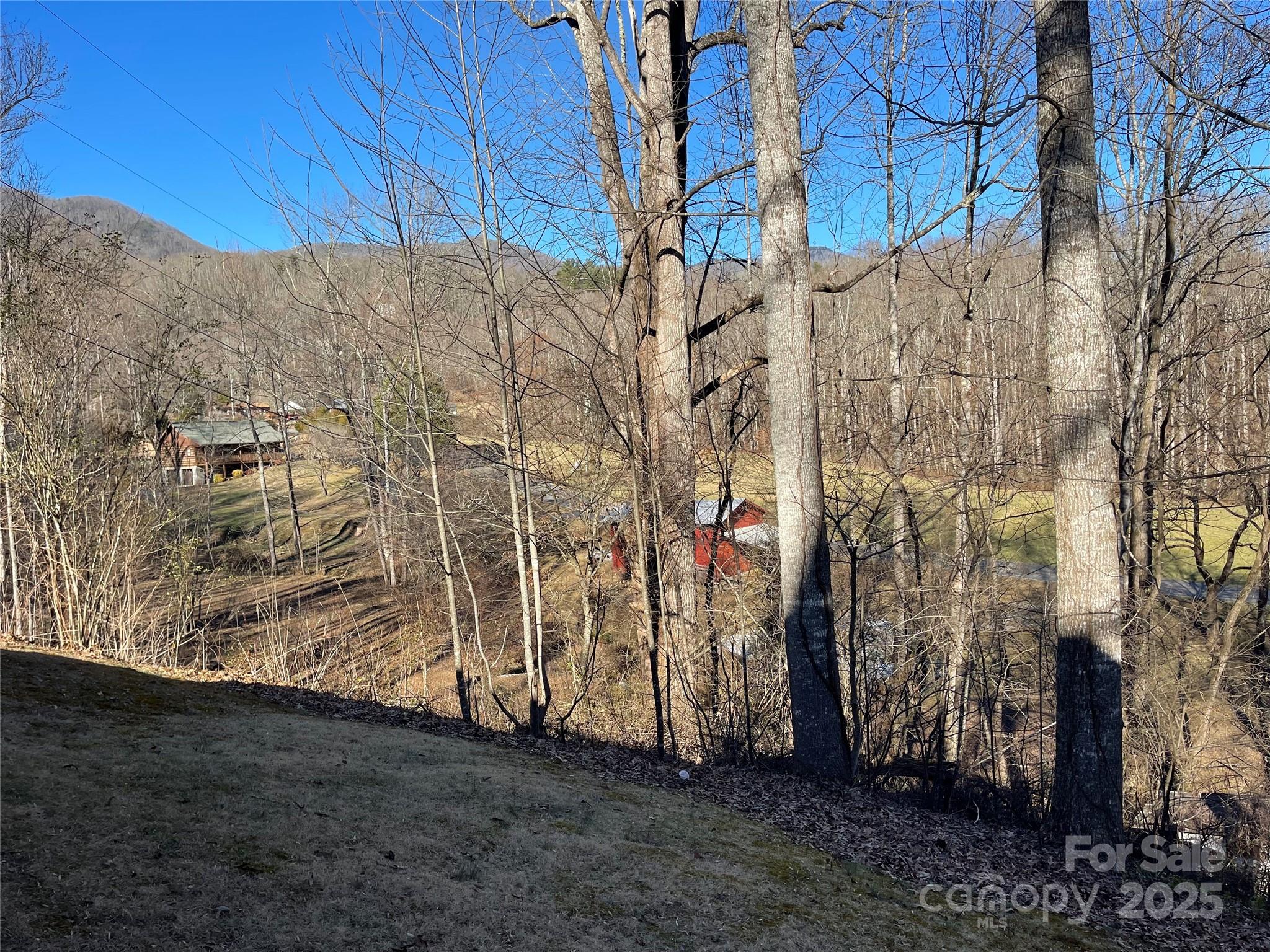 220 Frosty Ridge Road Property Photo 23