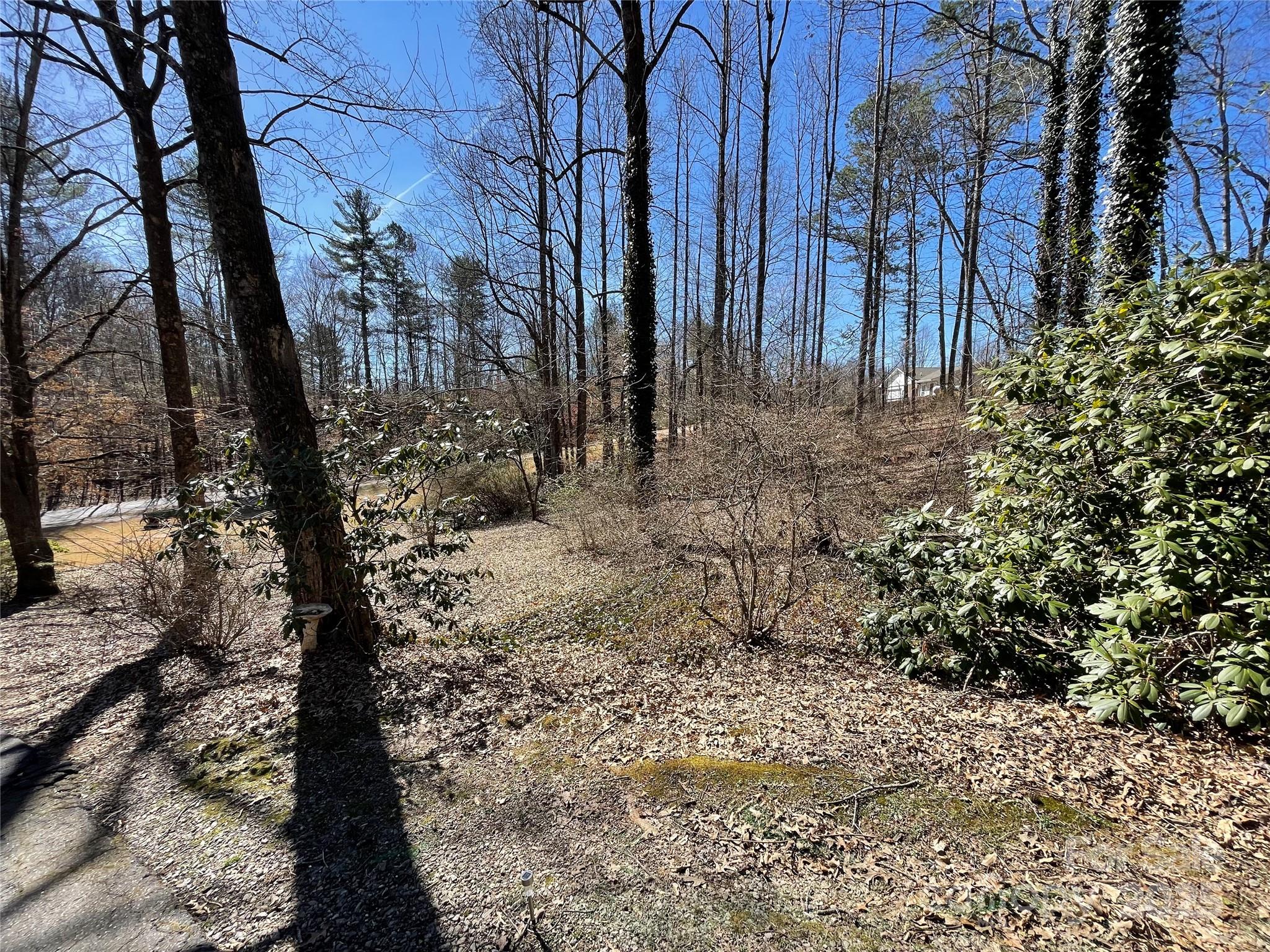 220 Frosty Ridge Road Property Photo 30