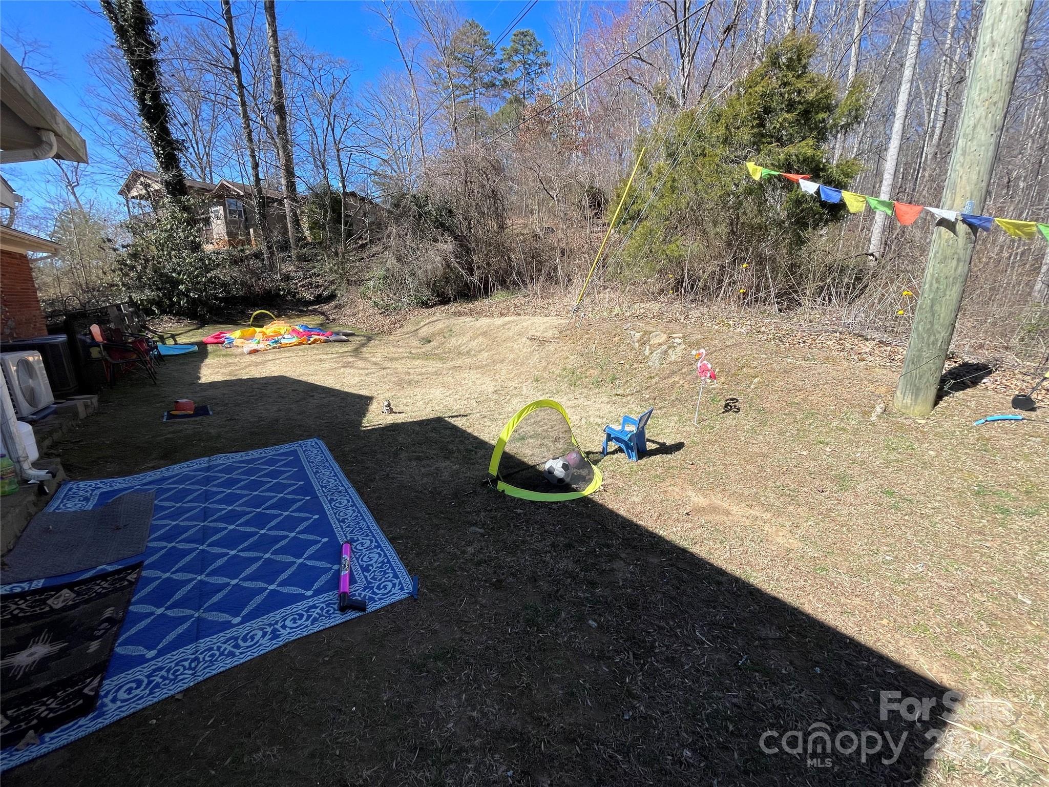 220 Frosty Ridge Road Property Photo 31
