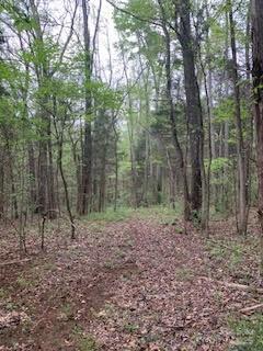 8.21 Acres Marshall Road Property Photo