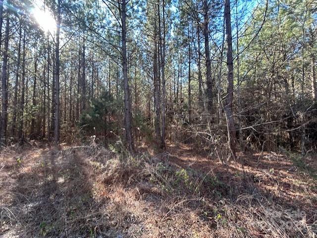 164 Blackburn Drive Property Photo 10