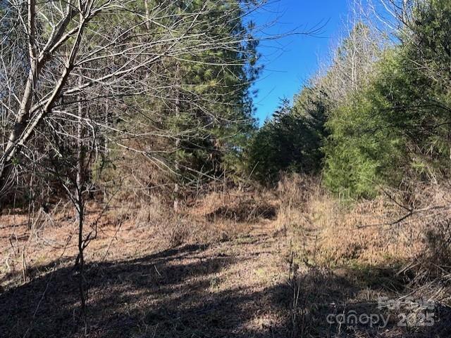 164 Blackburn Drive Property Photo 13