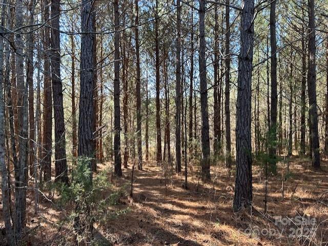 164 Blackburn Drive Property Photo 15