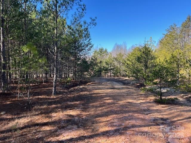164 Blackburn Drive Property Photo 16