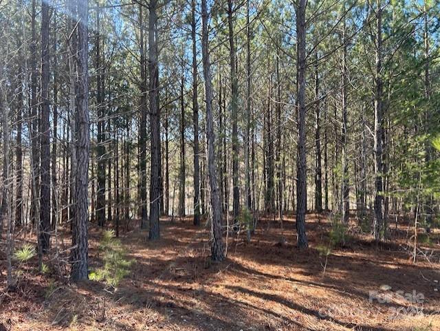 164 Blackburn Drive Property Photo 17