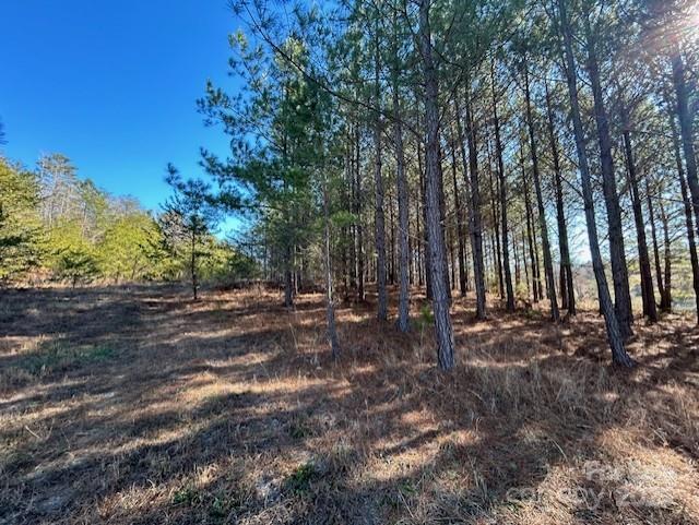 164 Blackburn Drive Property Photo 19