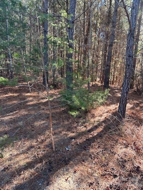 164 Blackburn Drive Property Photo 20