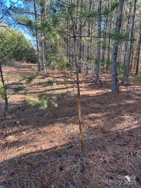 164 Blackburn Drive Property Photo 21
