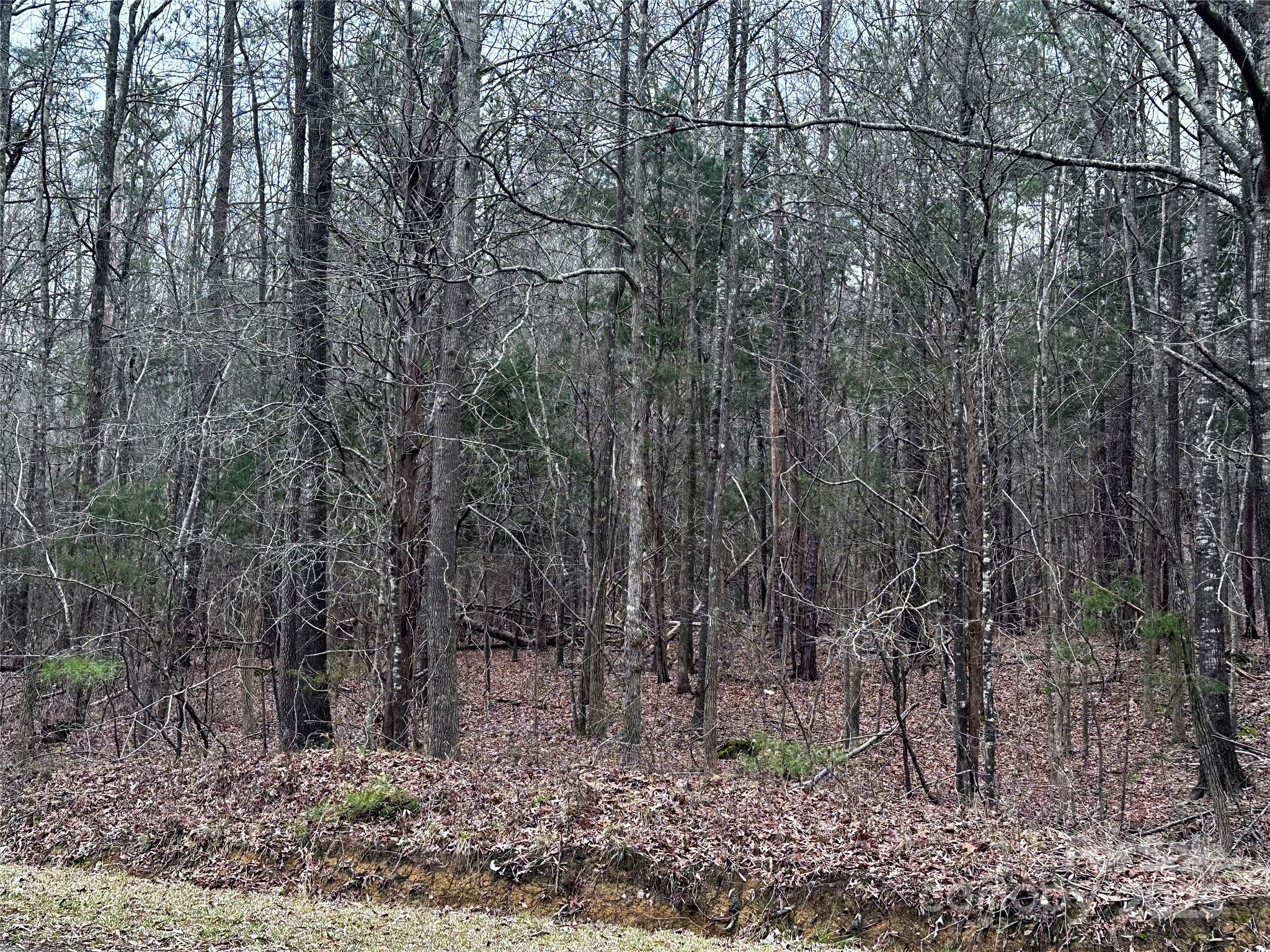 00 Starcliff Circle Property Photo 2