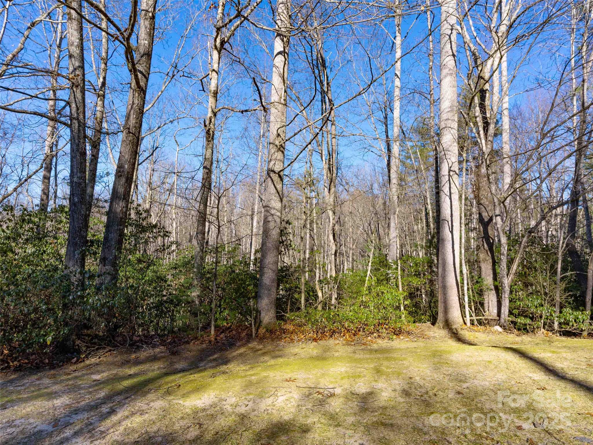 000 Chattooga Run 306 Property Photo 3
