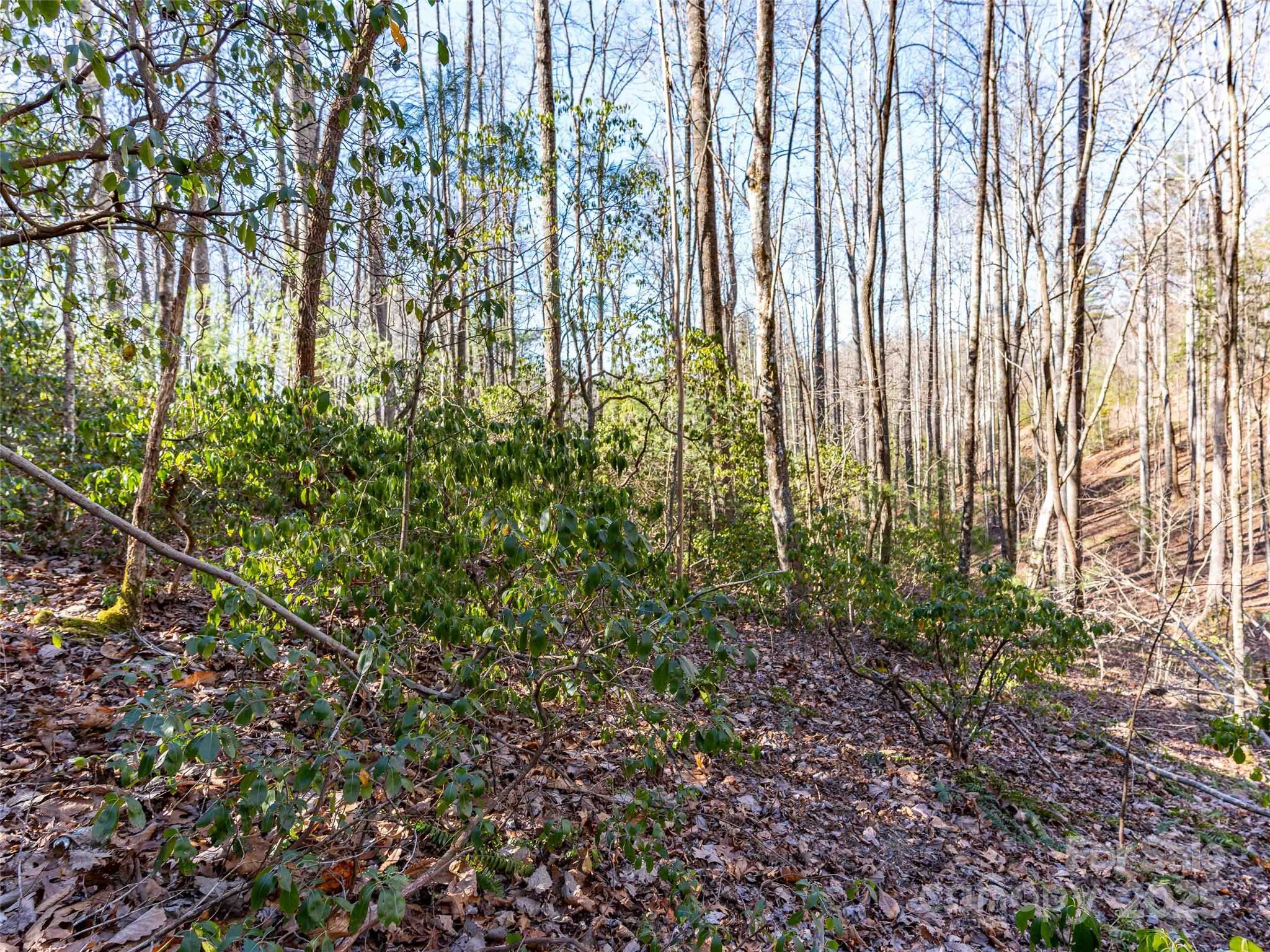000 Chattooga Run 306 Property Photo 11