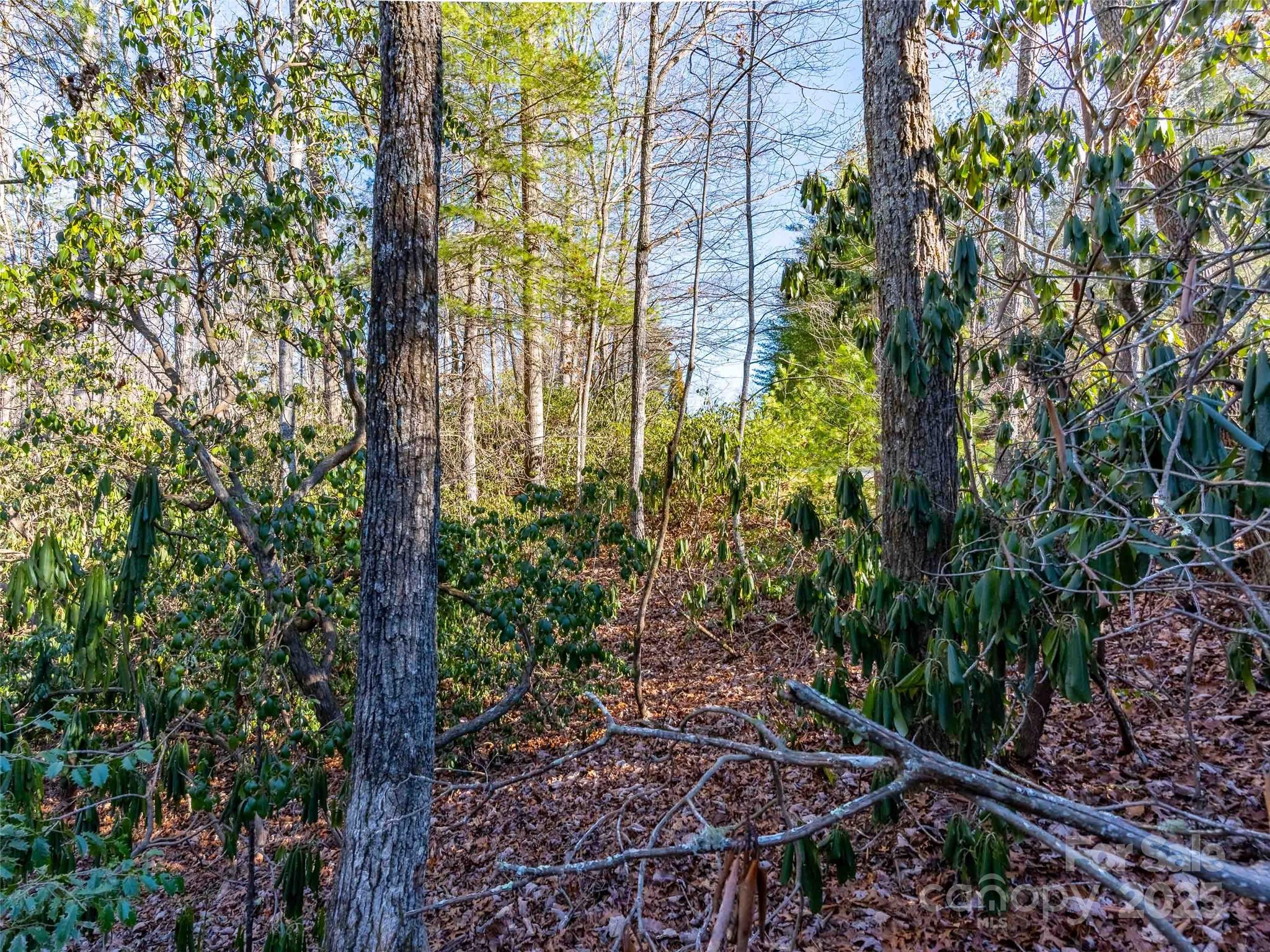 000 Chattooga Run 306 Property Photo 12